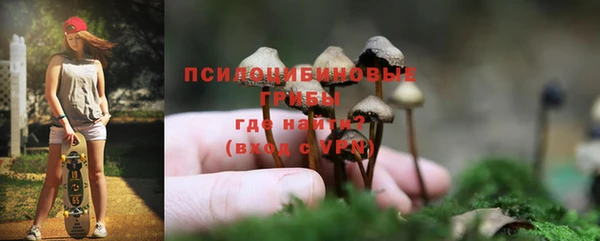 марки lsd Богородицк