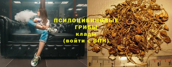 COCAINE Богданович