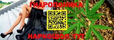 гашик Канаш