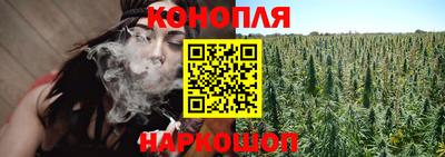 гашик Канаш