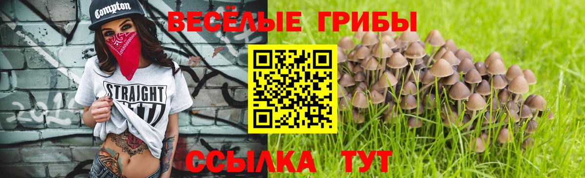 Псилоцибиновые грибы GOLDEN TEACHER Минеральные Воды